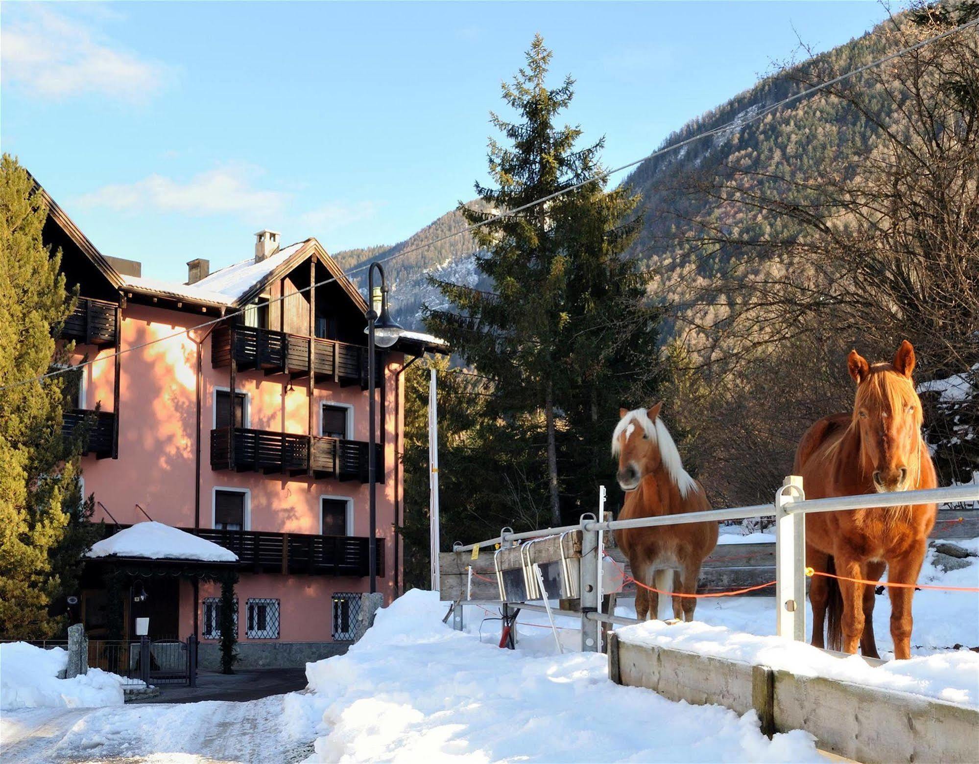 Park Hotel Bellevue Dimaro Eksteriør bilde